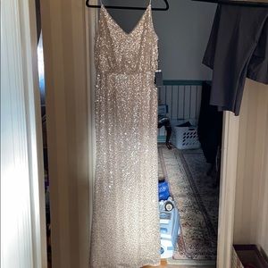 Adrianna Papell sequin  champagne dress